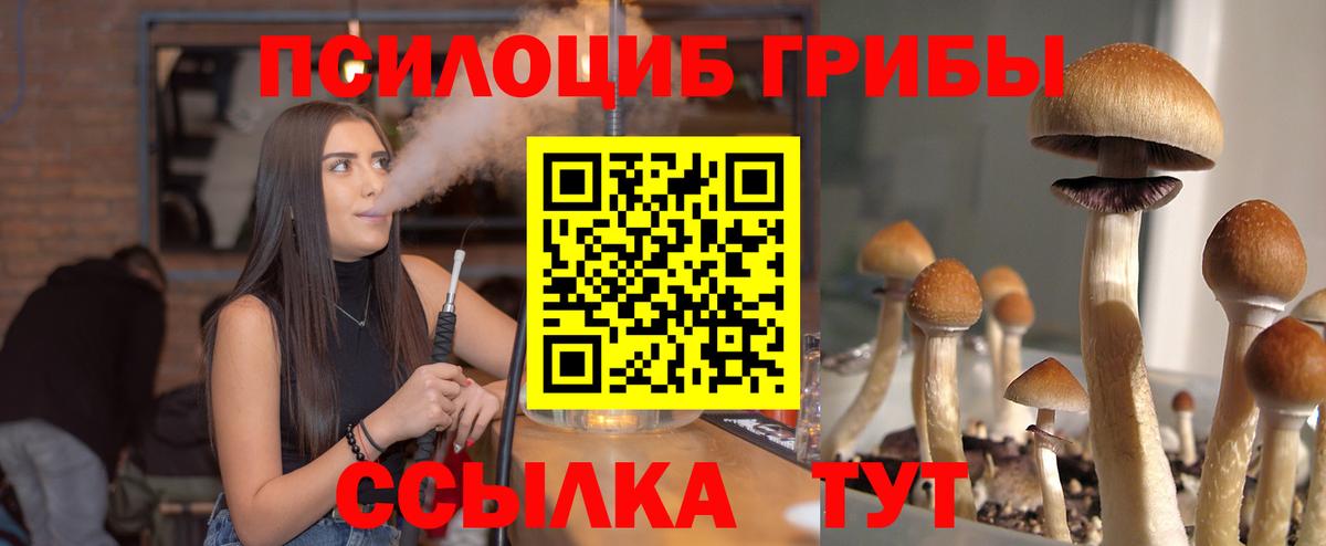 Касимов  Галлюциногенные грибы мицелий  где найти наркотики  Вход с VPN 
